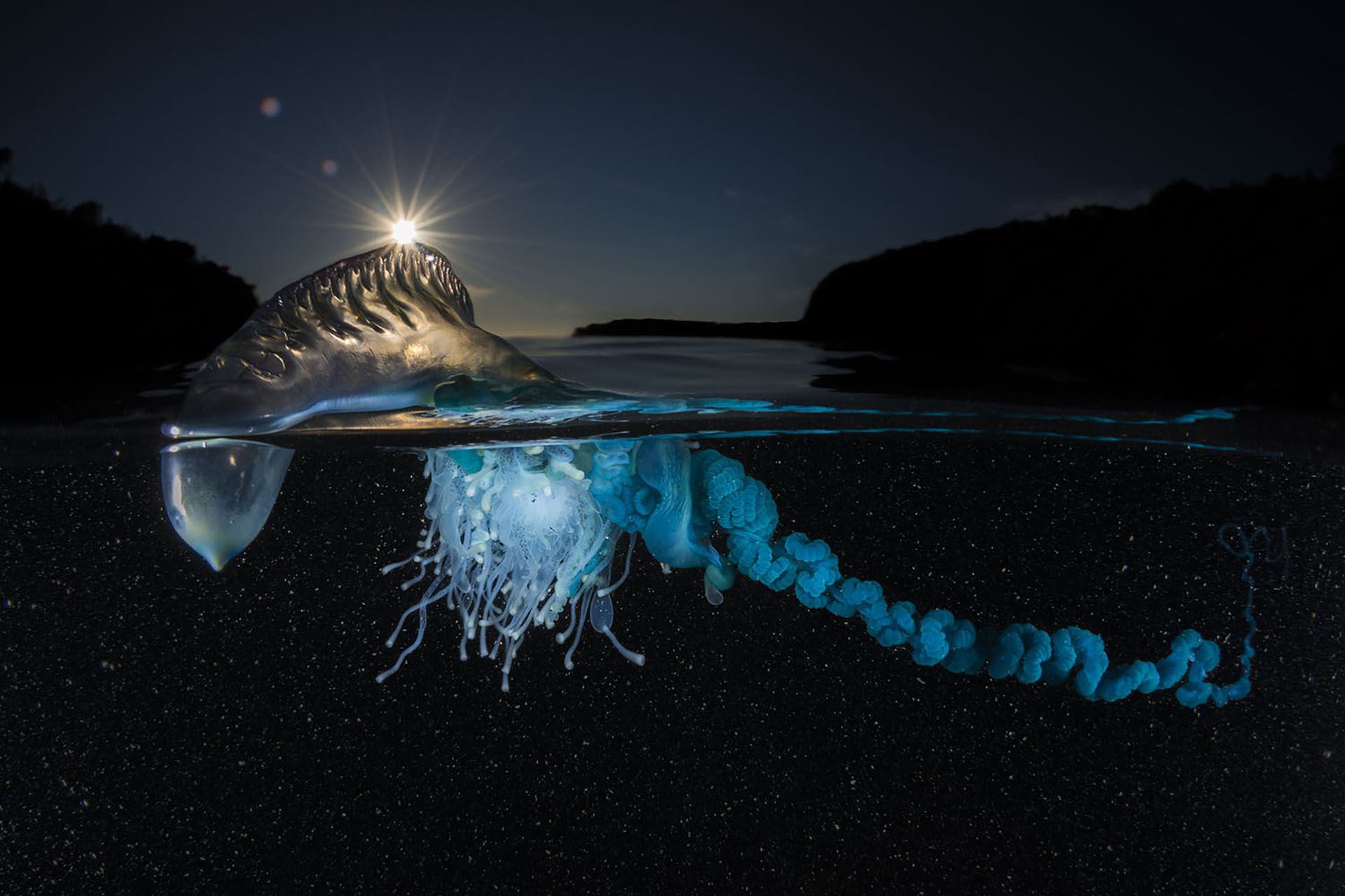 gale-national-geographic-SF-10 gale-national-geographic-SF-10
